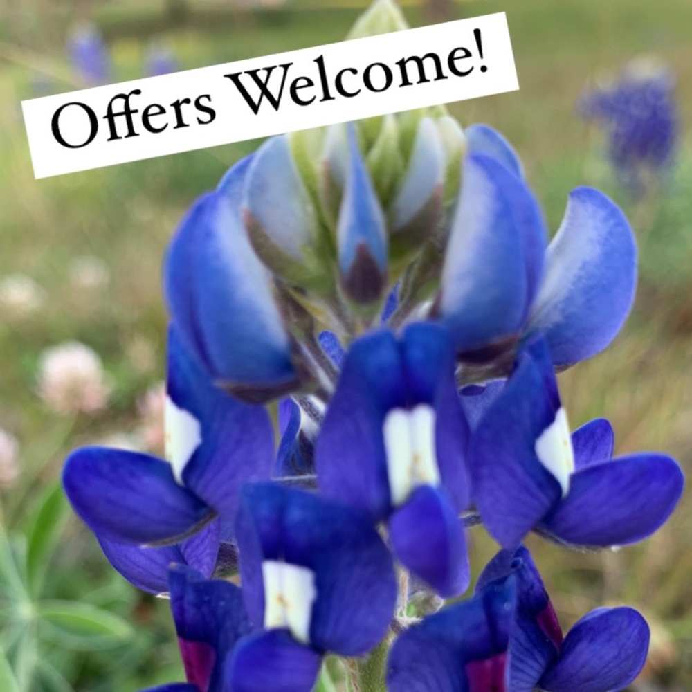 Have a Wonderful Wednesday everyone!!